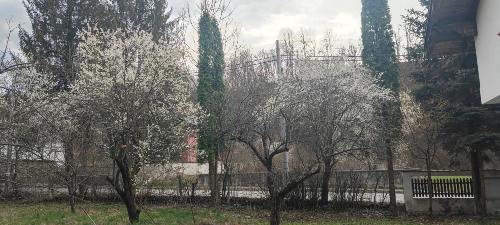Хан Костина - Han Kostina Ribarica Exterior foto